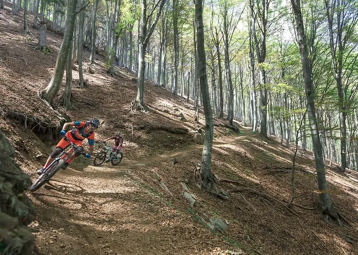 La Barca Blu 호텔 3*